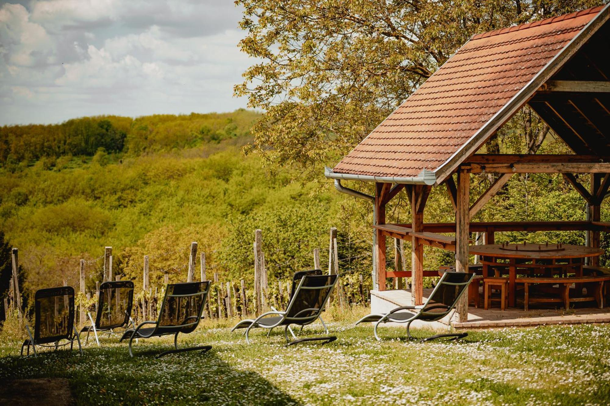 Foerhenc Wine House & Guesthouses I-Ii-Iii نايغكانيشا المظهر الخارجي الصورة