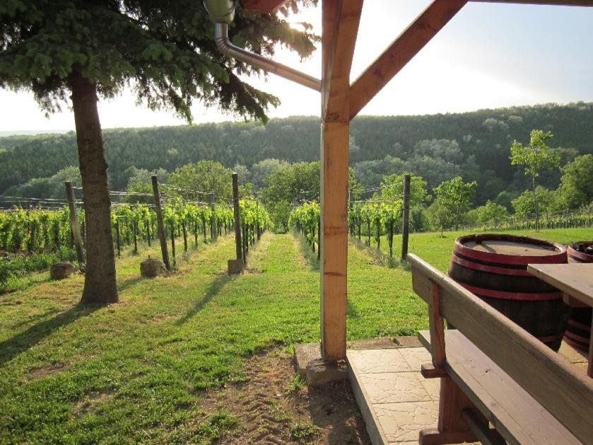Foerhenc Wine House & Guesthouses I-Ii-Iii نايغكانيشا المظهر الخارجي الصورة